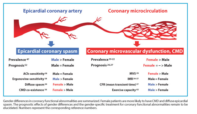 Gender differences in coronary functional abnormalities | Journal of ...