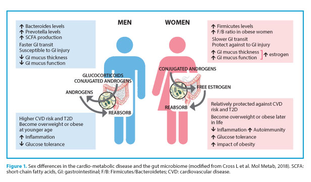Microbiome, sex hormones and cardiovascular risk: a contribution to ...